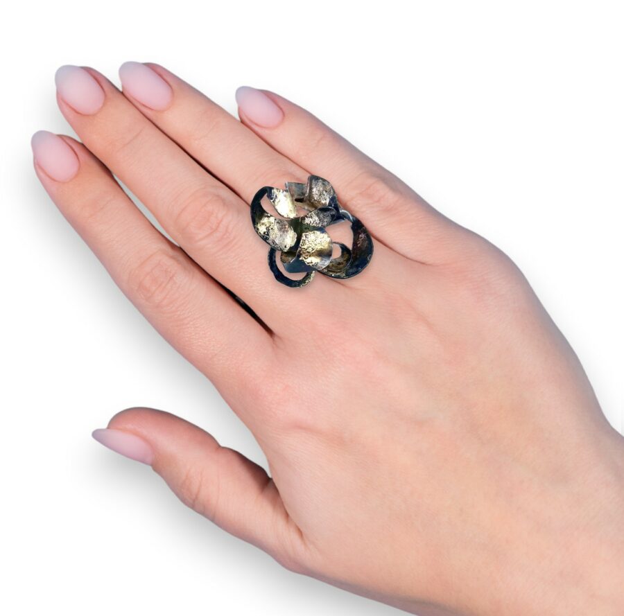 Vortex Ring